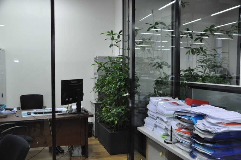 Офис SEVERIN GROUP