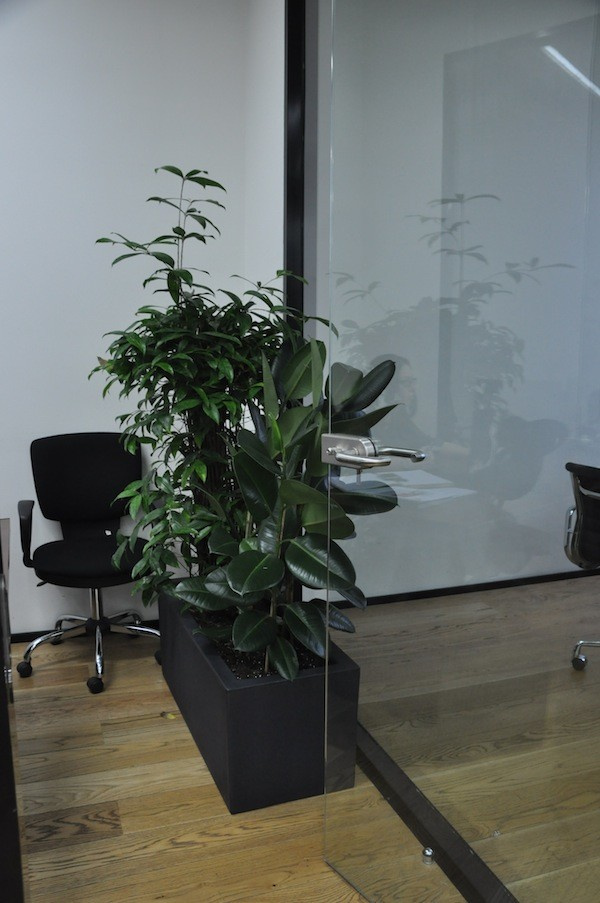 Офис SEVERIN GROUP