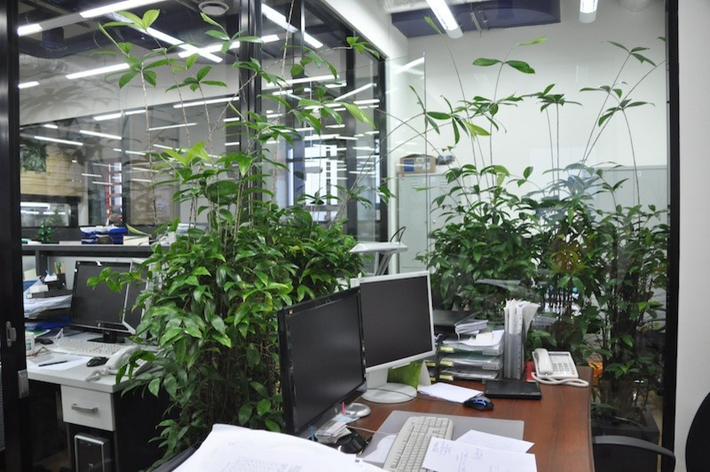 Офис SEVERIN GROUP