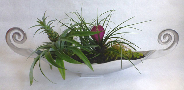 Композиции из растений