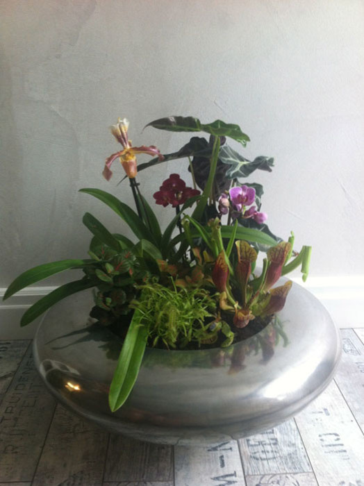 Обложка проекта: Композиции из растений