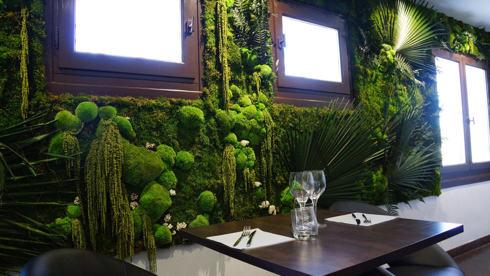 Мхи и стабилизированные растения