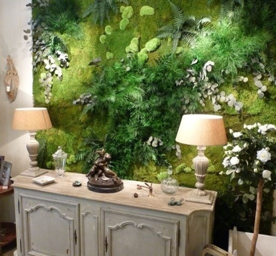 Мхи и стабилизированные растения