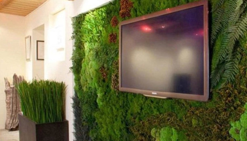 Мхи и стабилизированные растения