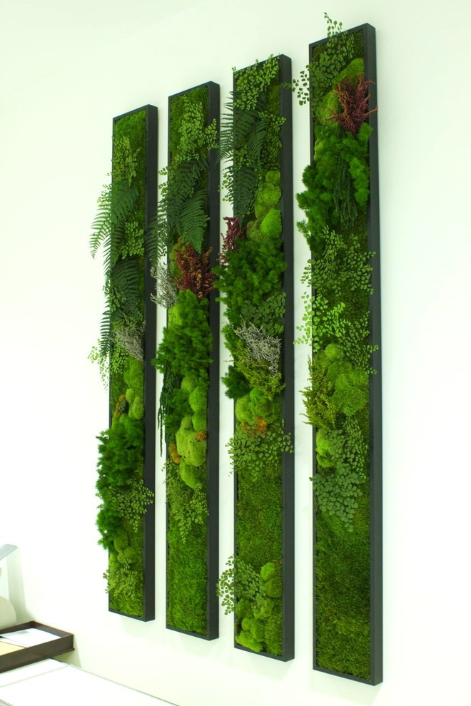 Обложка проекта: Мхи и стабилизированные растения