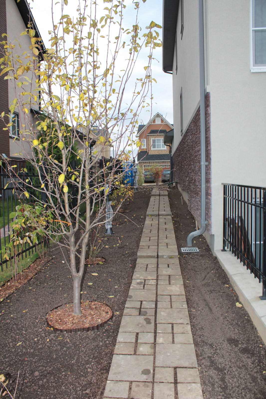 Новые Вешки