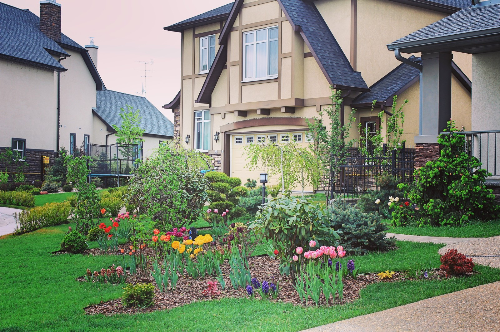 Обложка проекта: Новые Вешки (ц)