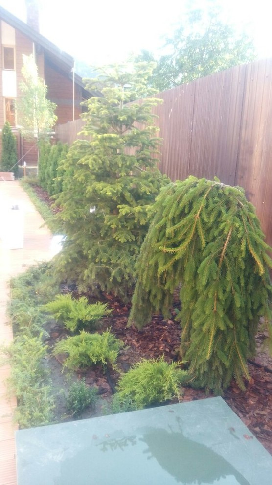 Озеленение и благоустройство частной территории Красная поляна