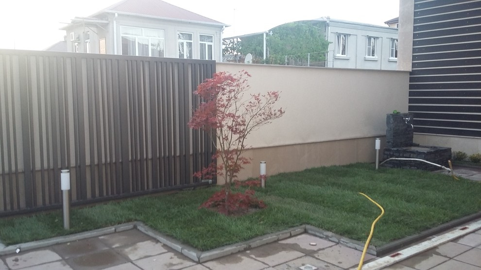 Озеленение г.Сухум