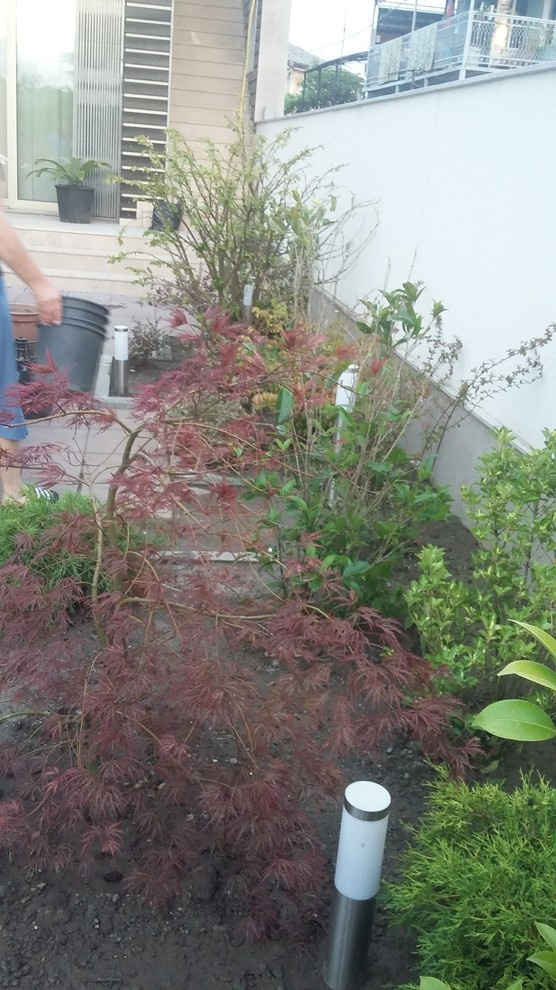 Озеленение г.Сухум