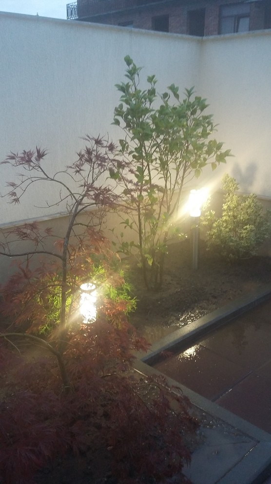 Обложка проекта: Озеленение г.Сухум