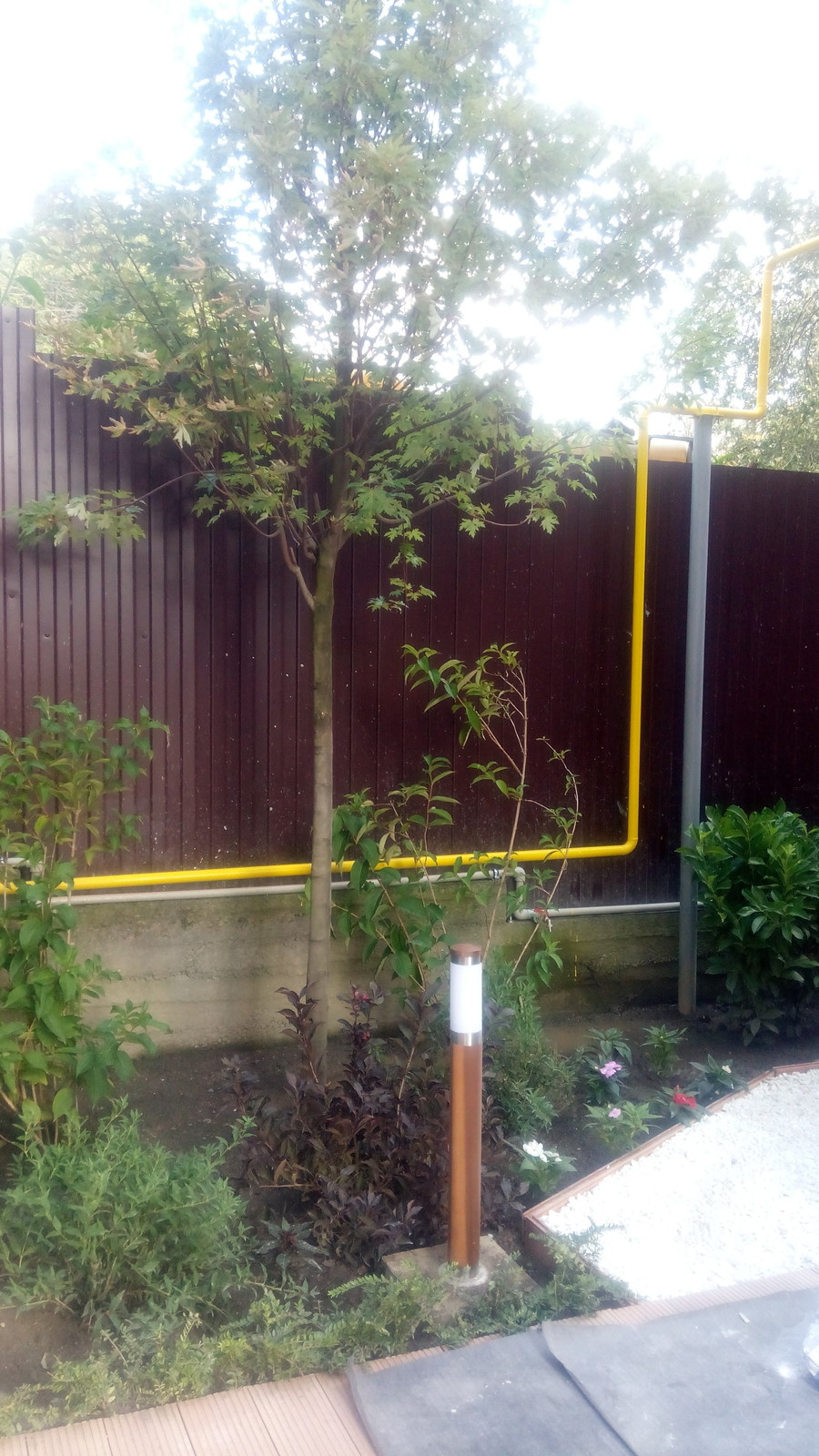 Озеленение и благоустройство частной территории Красная поляна