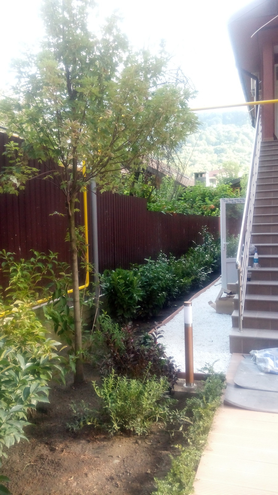 Озеленение и благоустройство частной территории Красная поляна