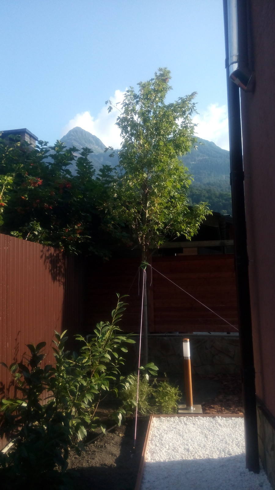 Озеленение и благоустройство частной территории Красная поляна