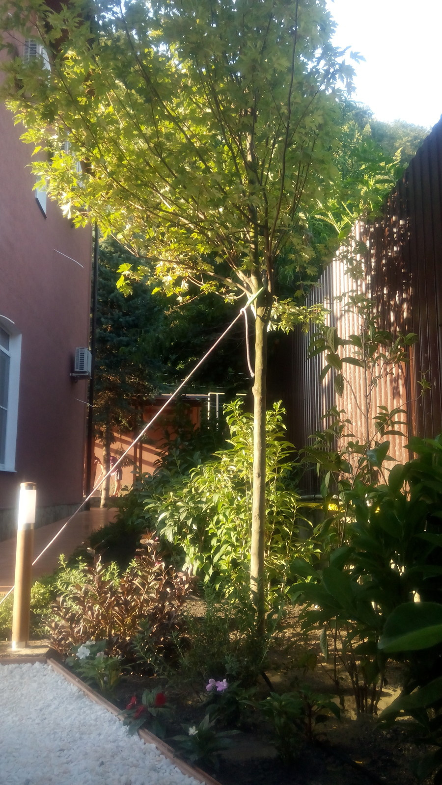 Озеленение и благоустройство частной территории Красная поляна