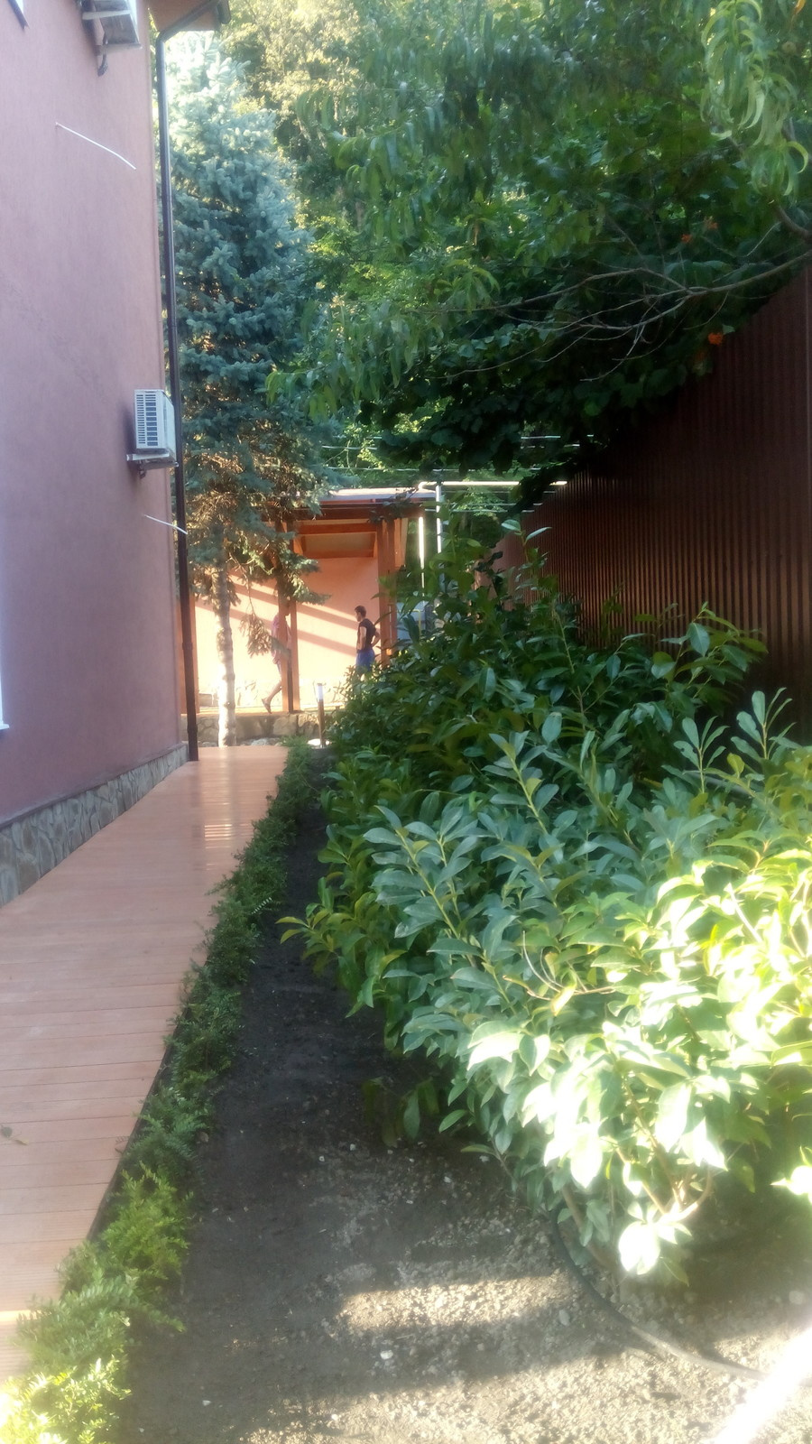 Озеленение и благоустройство частной территории Красная поляна