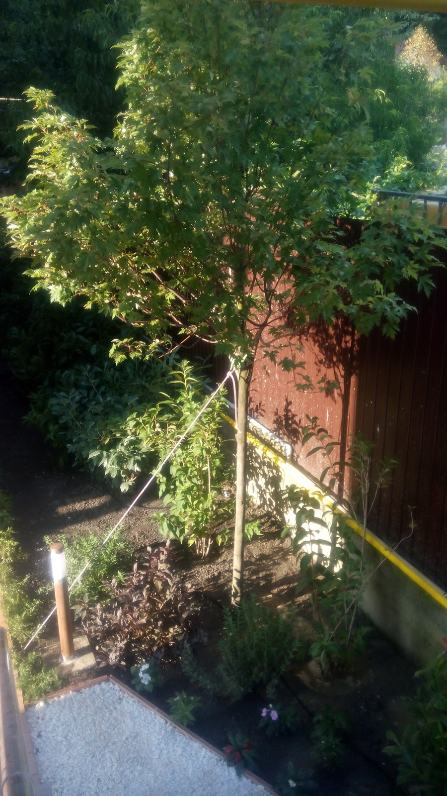 Озеленение и благоустройство частной территории Красная поляна