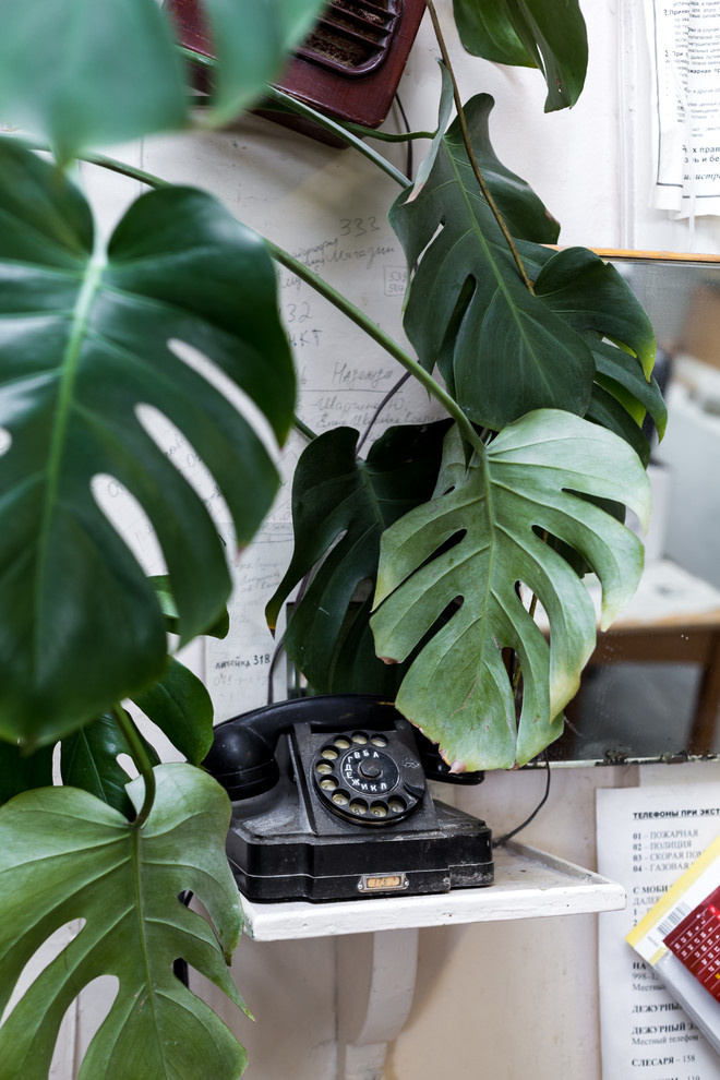 Императорский фарфоровый завод