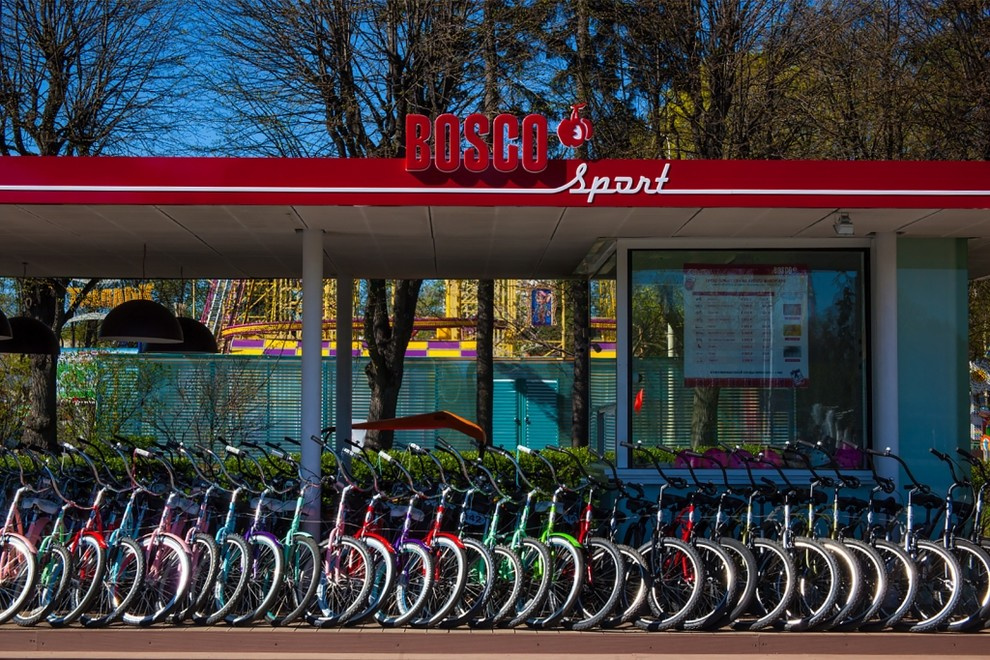 Прокат Bosco и Electra