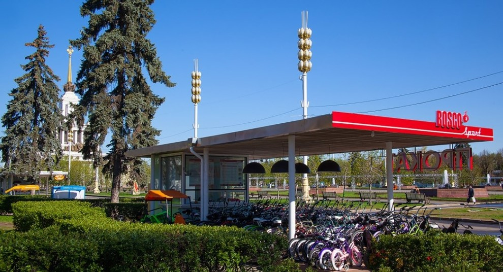 Прокат Bosco и Electra