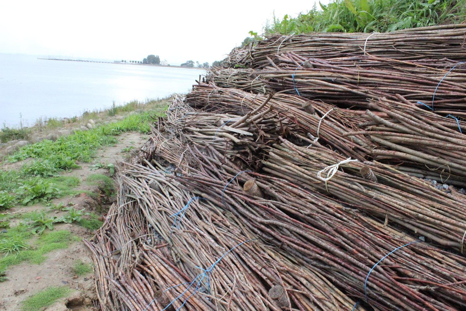 Петергоф. Укрепление вала.