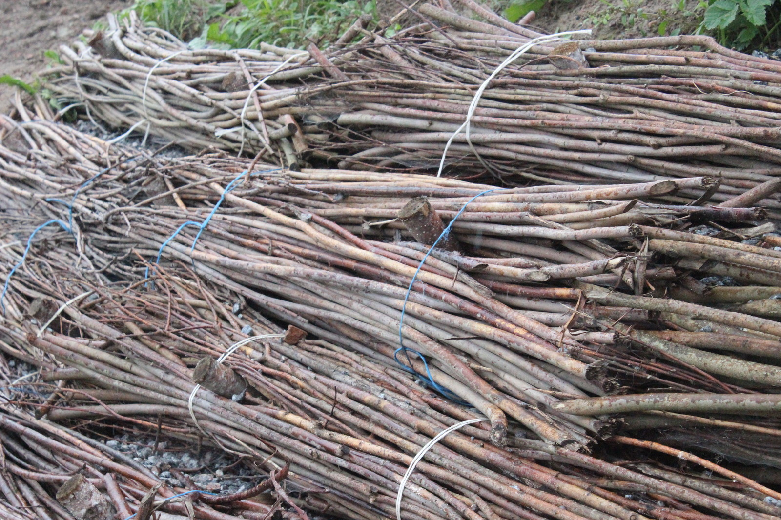 Петергоф. Укрепление вала.