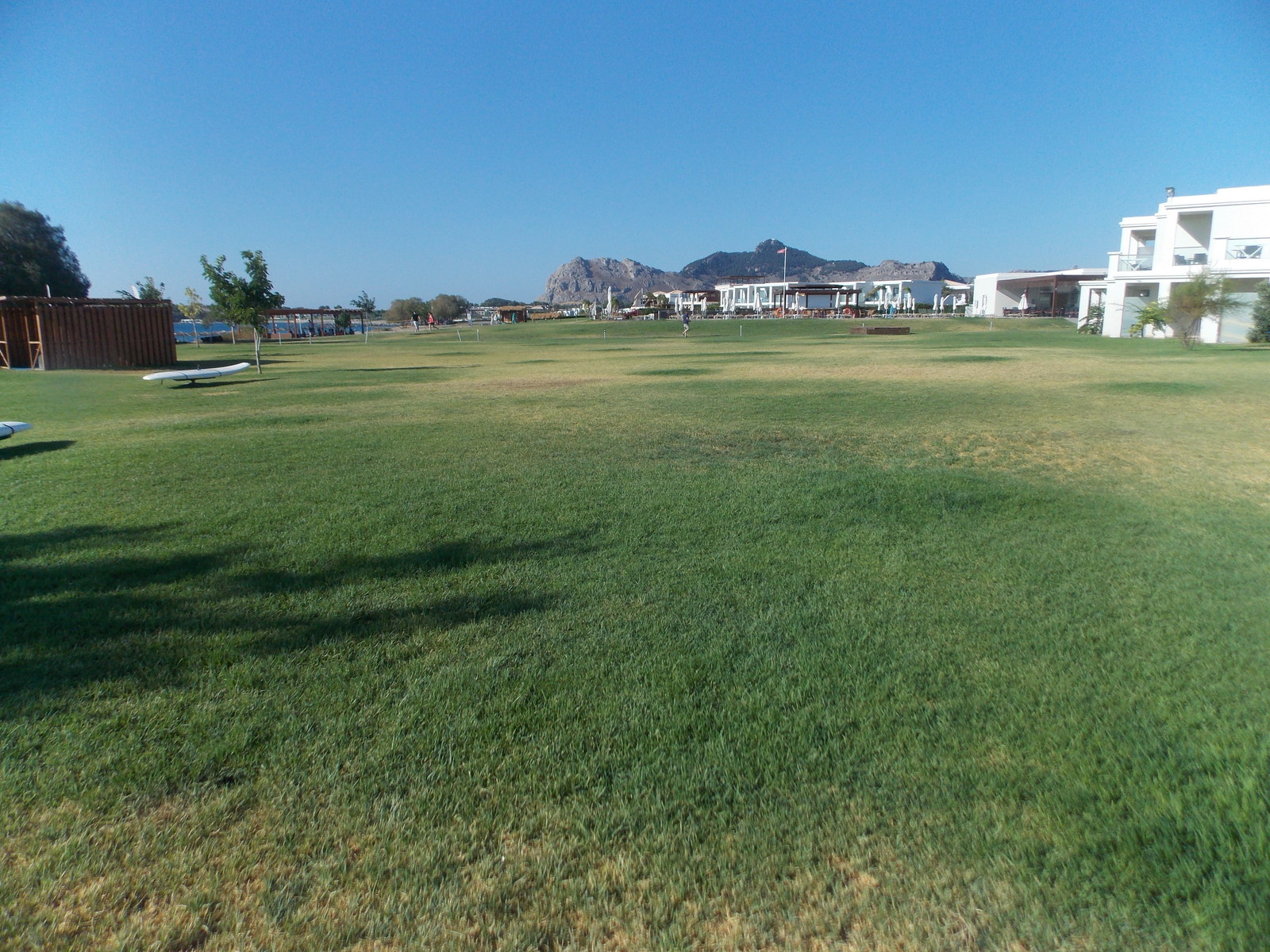 Травосмеси газонные Канада Грин в тяжелейших условиях на море в соли и на жаре!