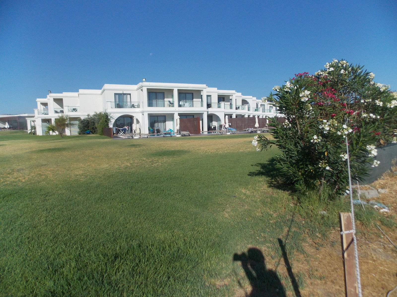 Травосмеси газонные Канада Грин в тяжелейших условиях на море в соли и на жаре!