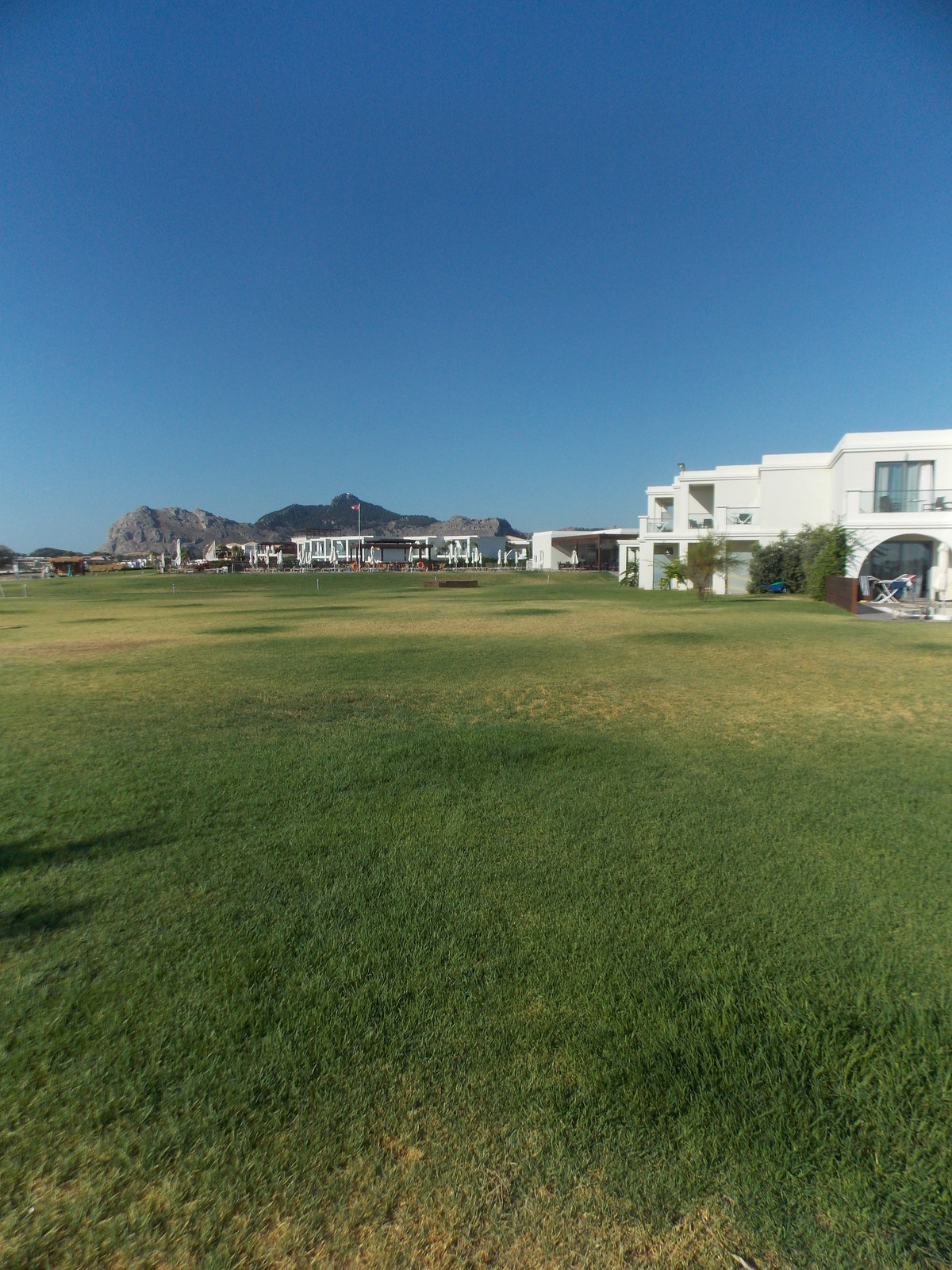 Травосмеси газонные Канада Грин в тяжелейших условиях на море в соли и на жаре!