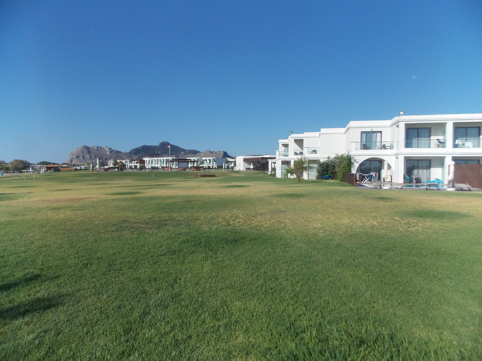 Травосмеси газонные Канада Грин в тяжелейших условиях на море в соли и на жаре!