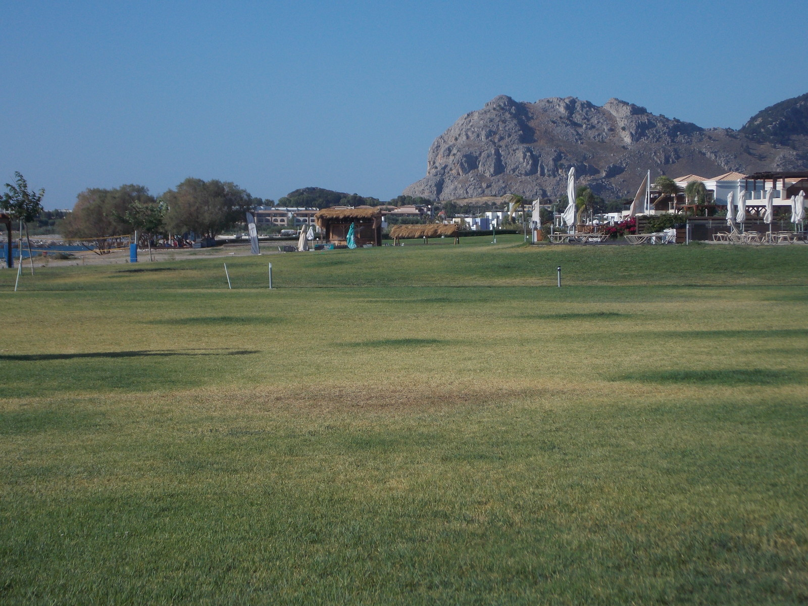 Травосмеси газонные Канада Грин в тяжелейших условиях на море в соли и на жаре!