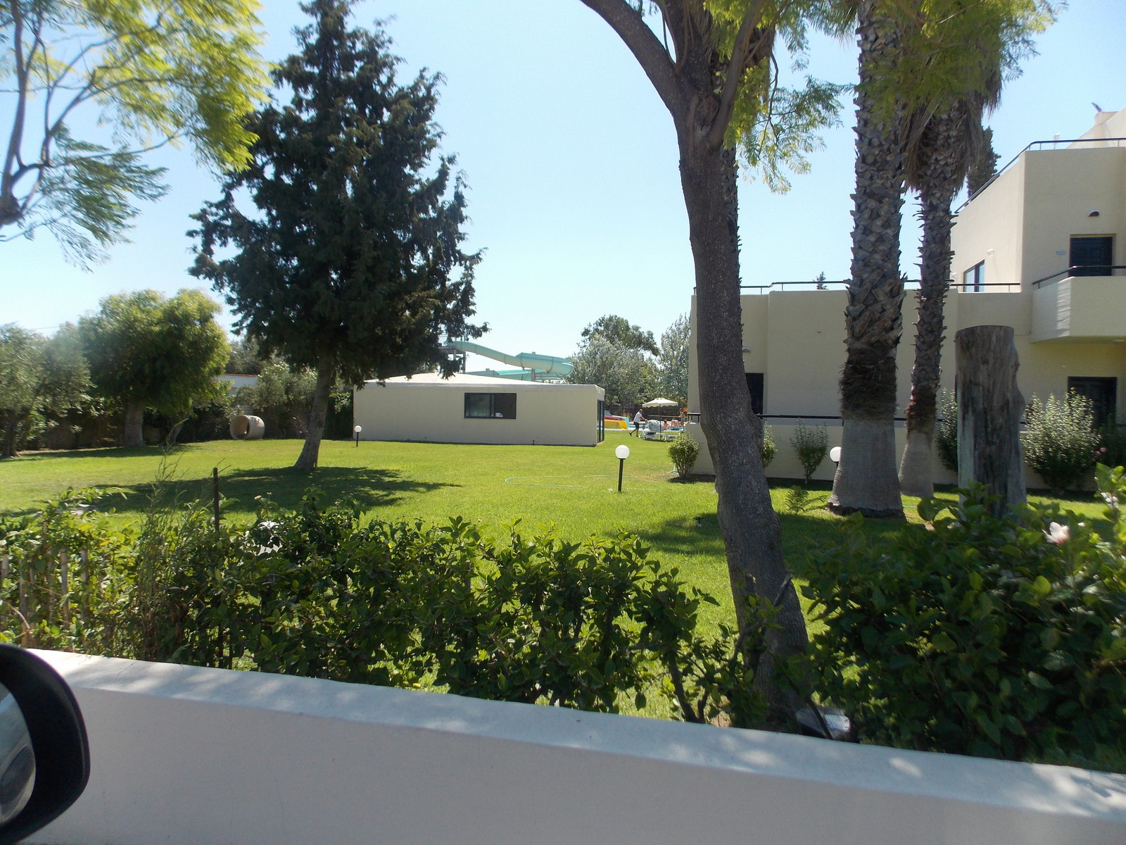 Травосмеси газонные Канада Грин в тяжелейших условиях на море в соли и на жаре!