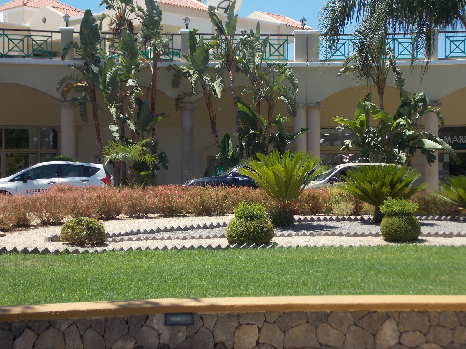 Травосмеси газонные Канада Грин в тяжелейших условиях на море в соли и на жаре!