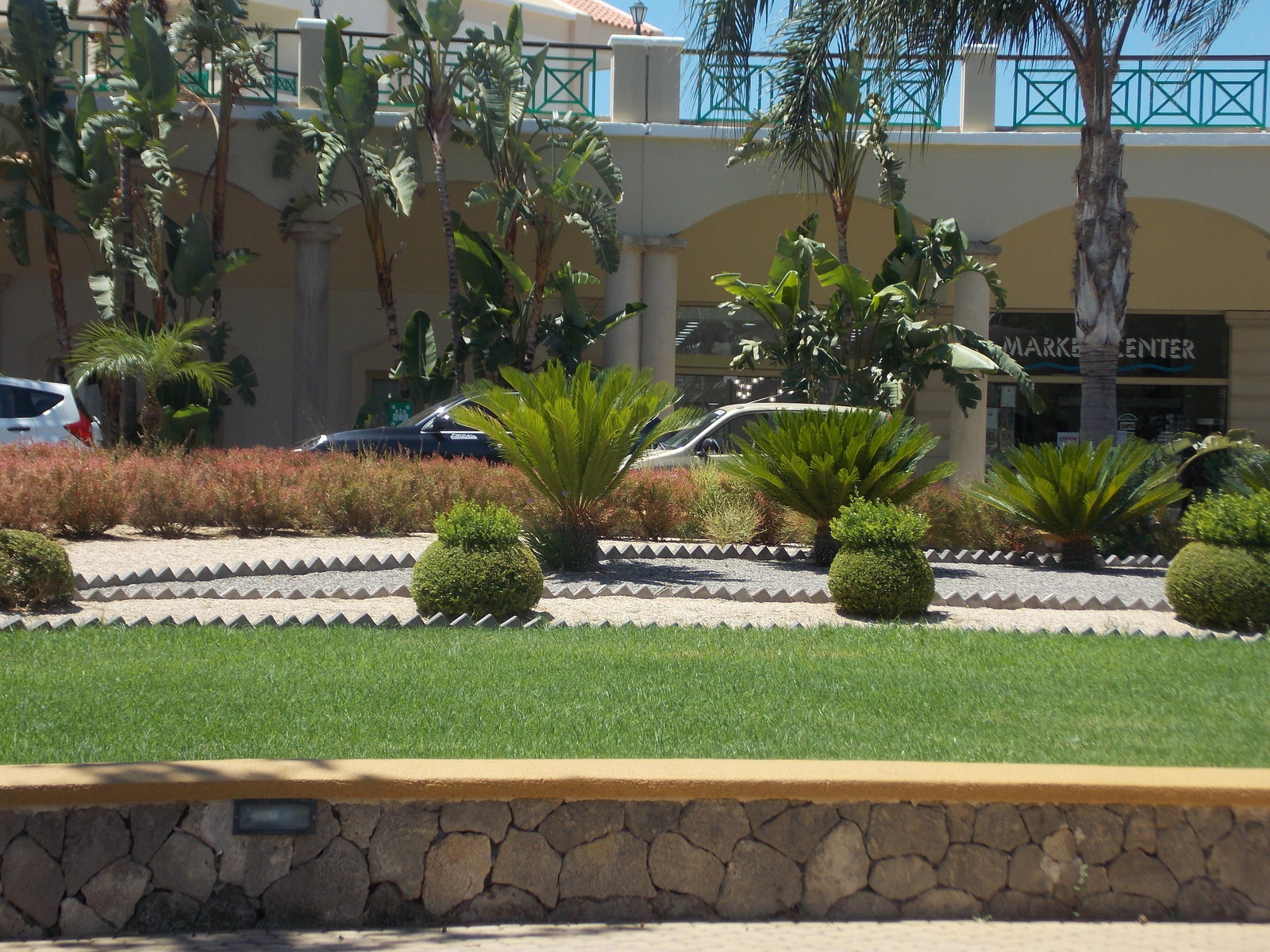 Травосмеси газонные Канада Грин в тяжелейших условиях на море в соли и на жаре!