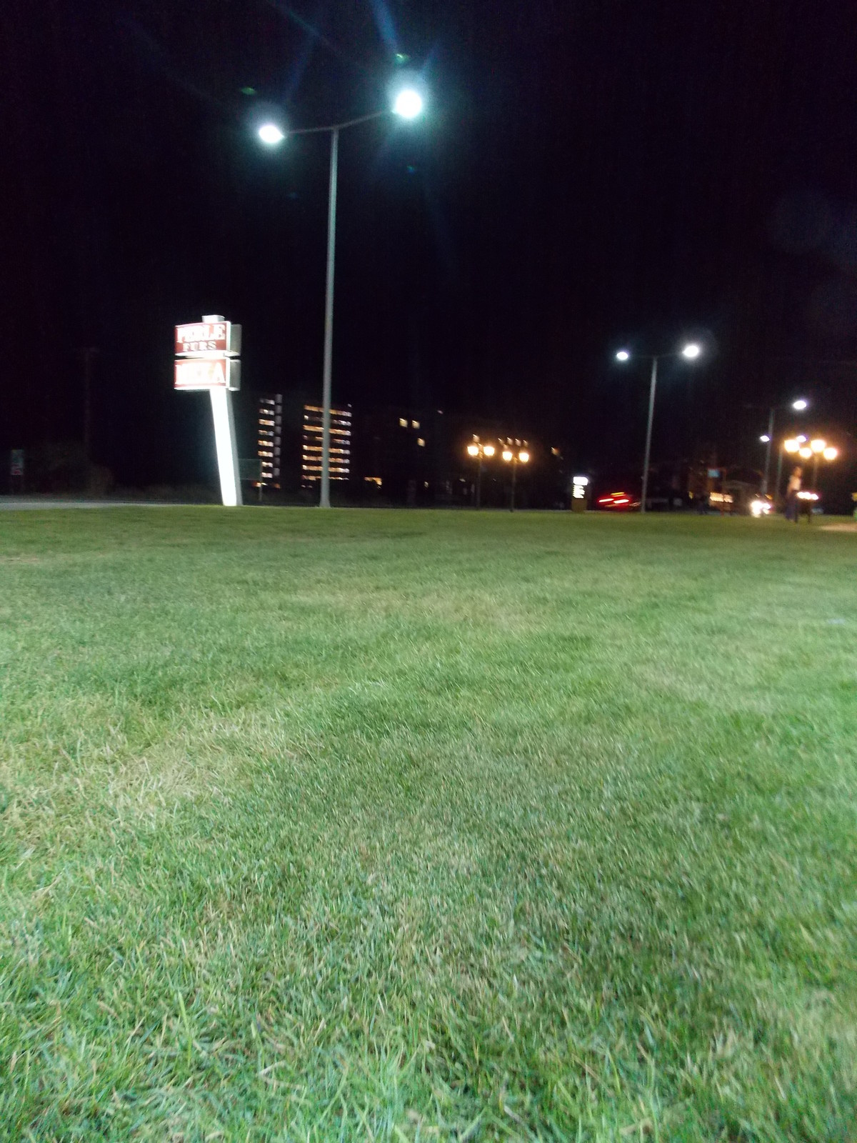 Травосмеси газонные Канада Грин в тяжелейших условиях на море в соли и на жаре!