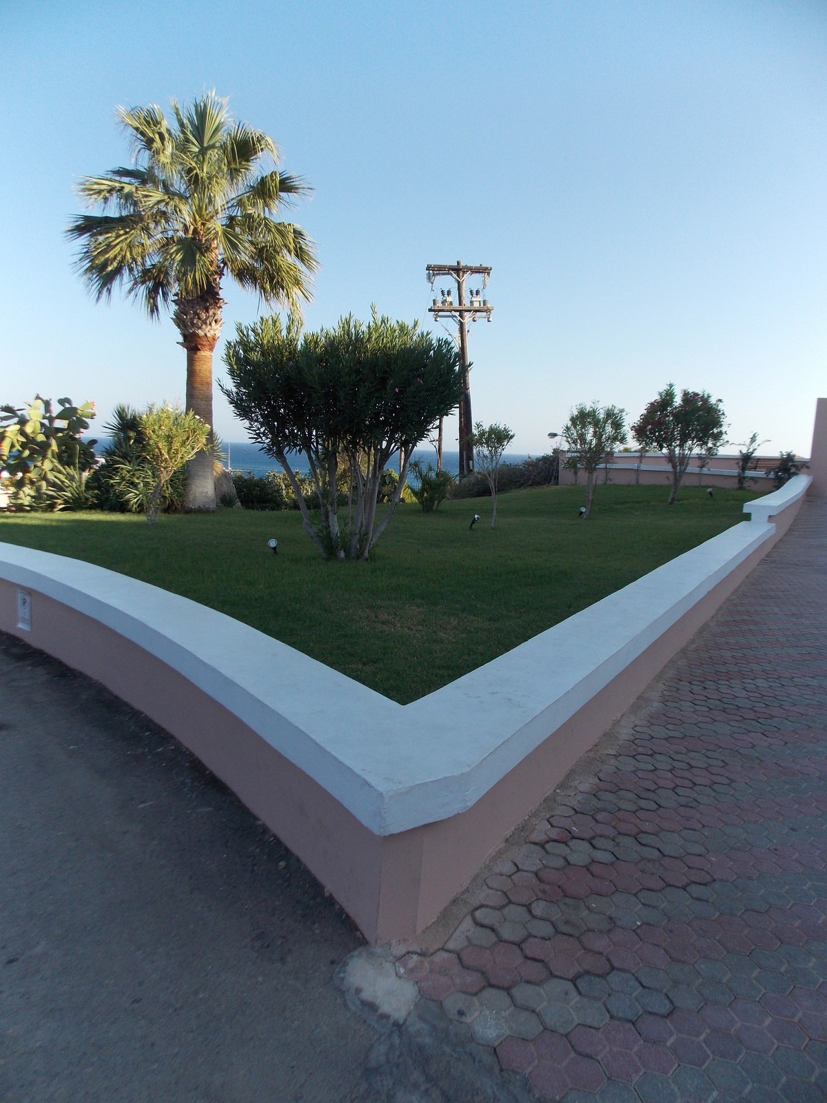 Травосмеси газонные Канада Грин в тяжелейших условиях на море в соли и на жаре!