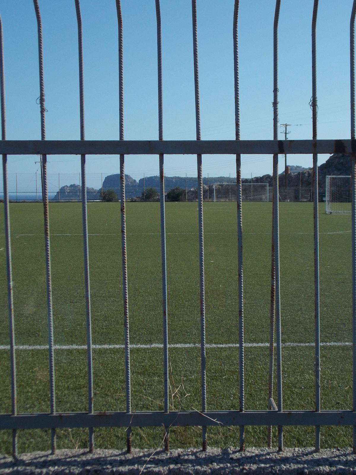 Травосмеси газонные Канада Грин в тяжелейших условиях на море в соли и на жаре!