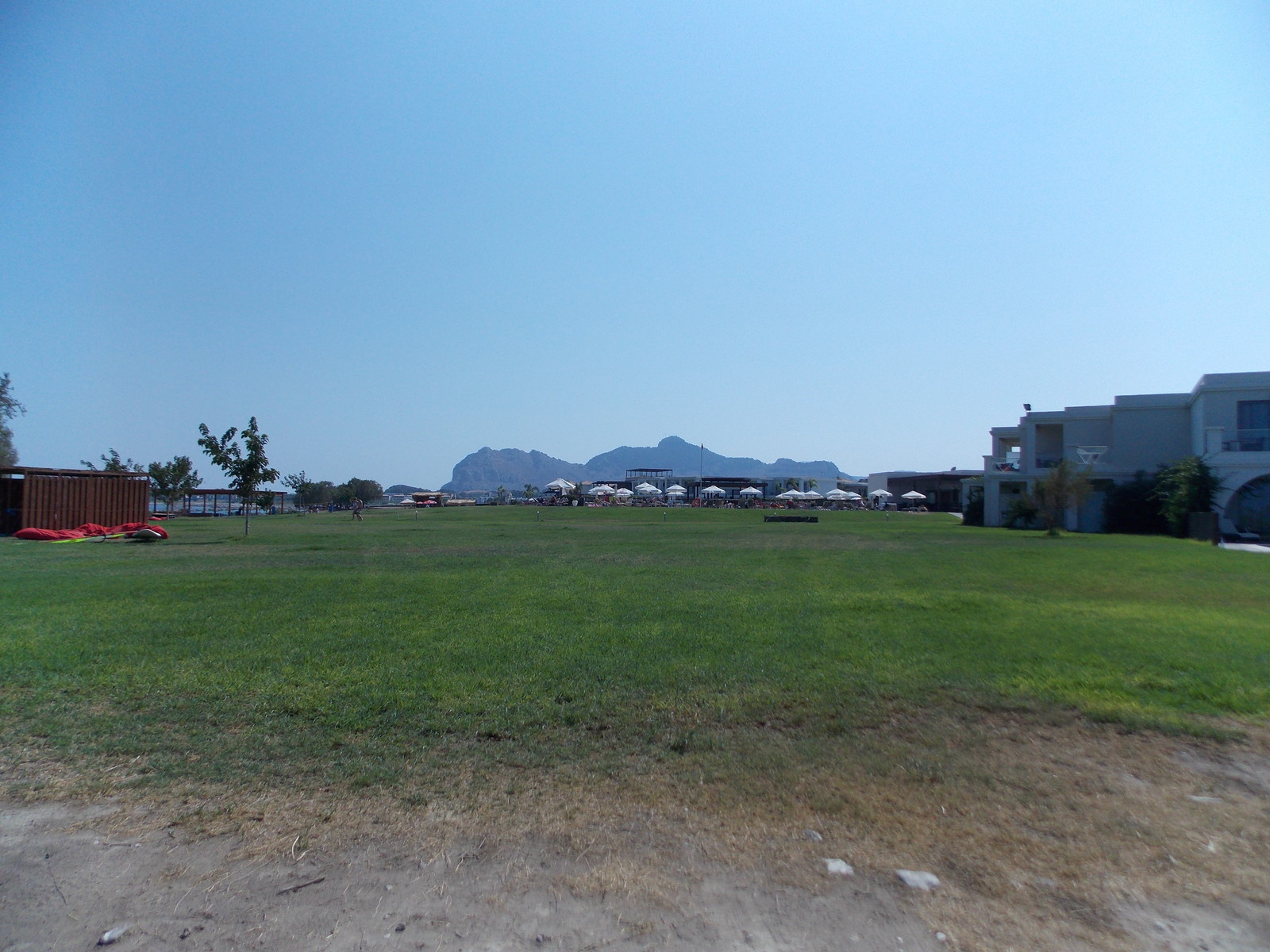 Травосмеси газонные Канада Грин в тяжелейших условиях на море в соли и на жаре!