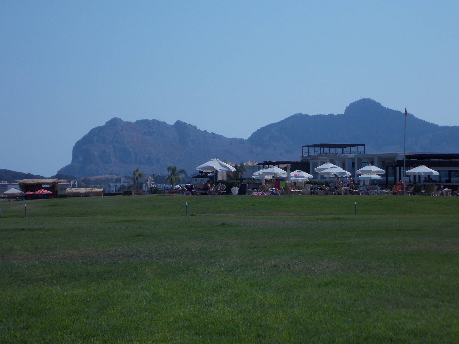 Травосмеси газонные Канада Грин в тяжелейших условиях на море в соли и на жаре!