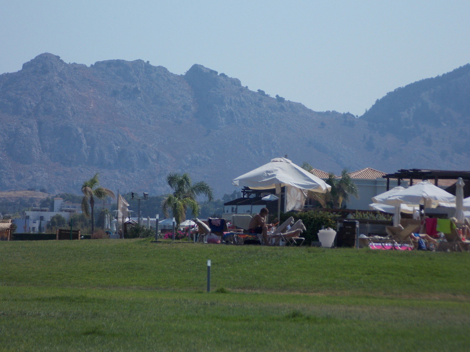 Травосмеси газонные Канада Грин в тяжелейших условиях на море в соли и на жаре!