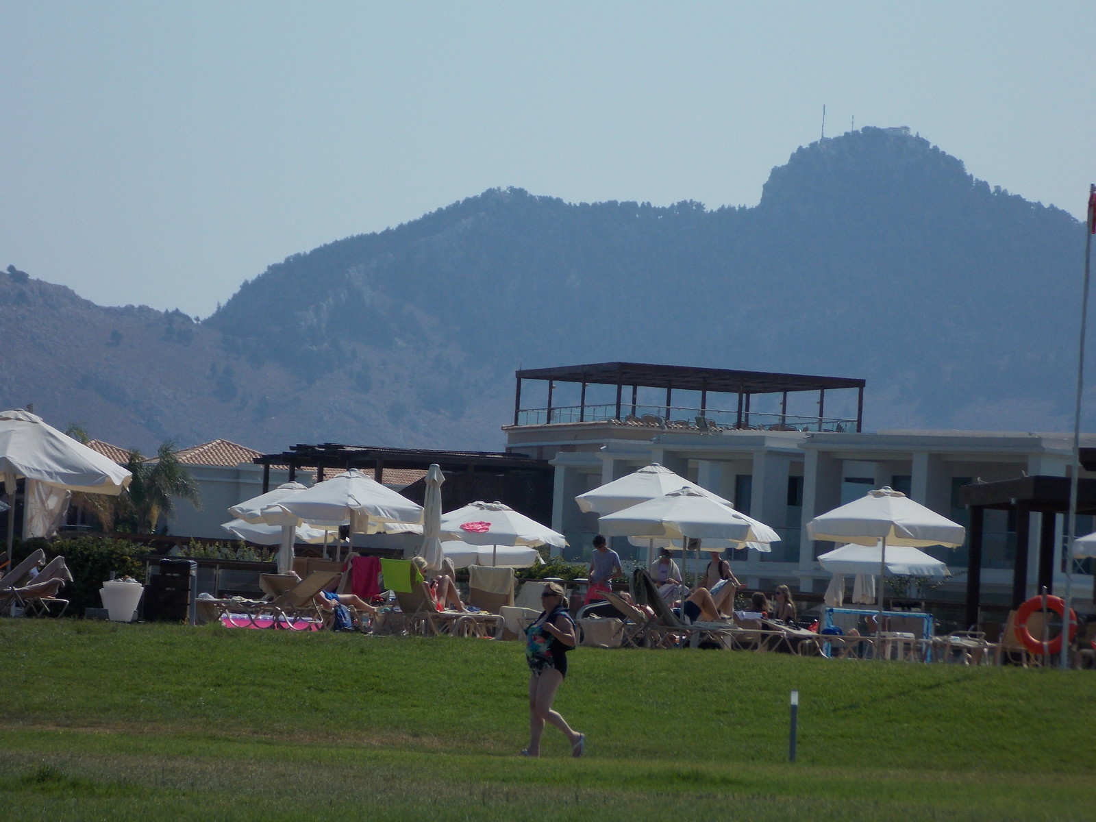 Травосмеси газонные Канада Грин в тяжелейших условиях на море в соли и на жаре!