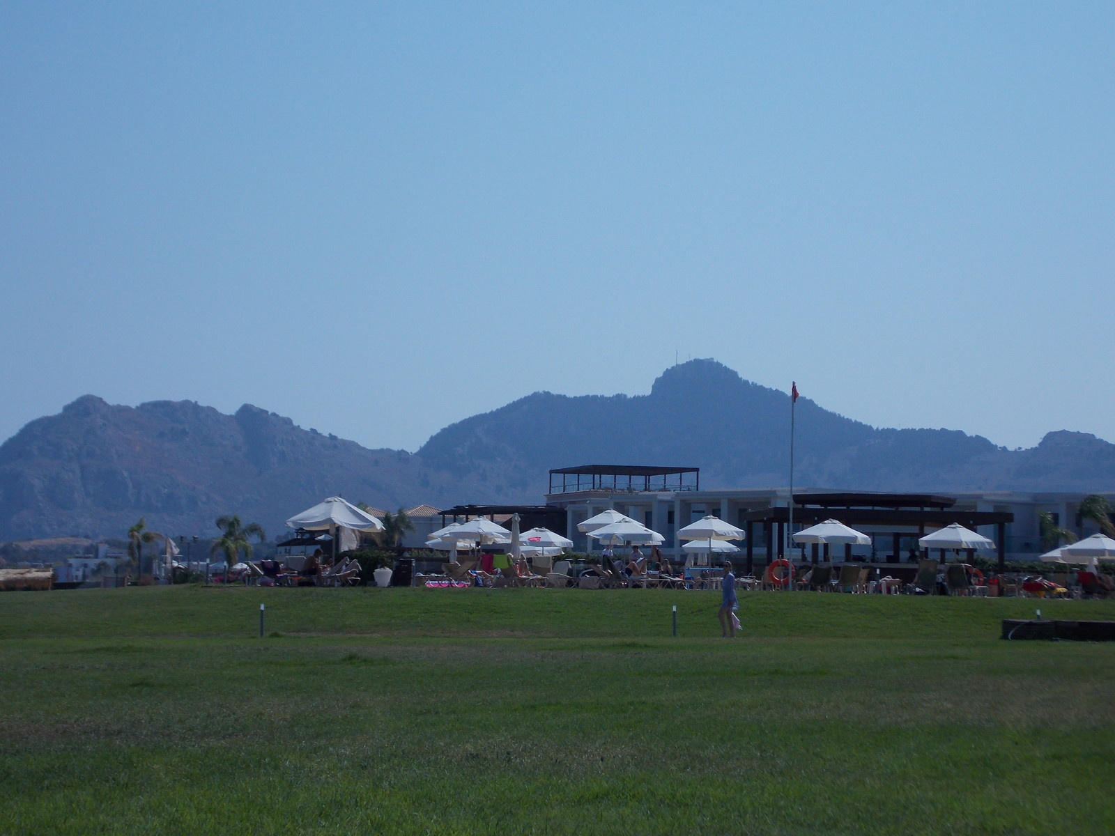 Травосмеси газонные Канада Грин в тяжелейших условиях на море в соли и на жаре!