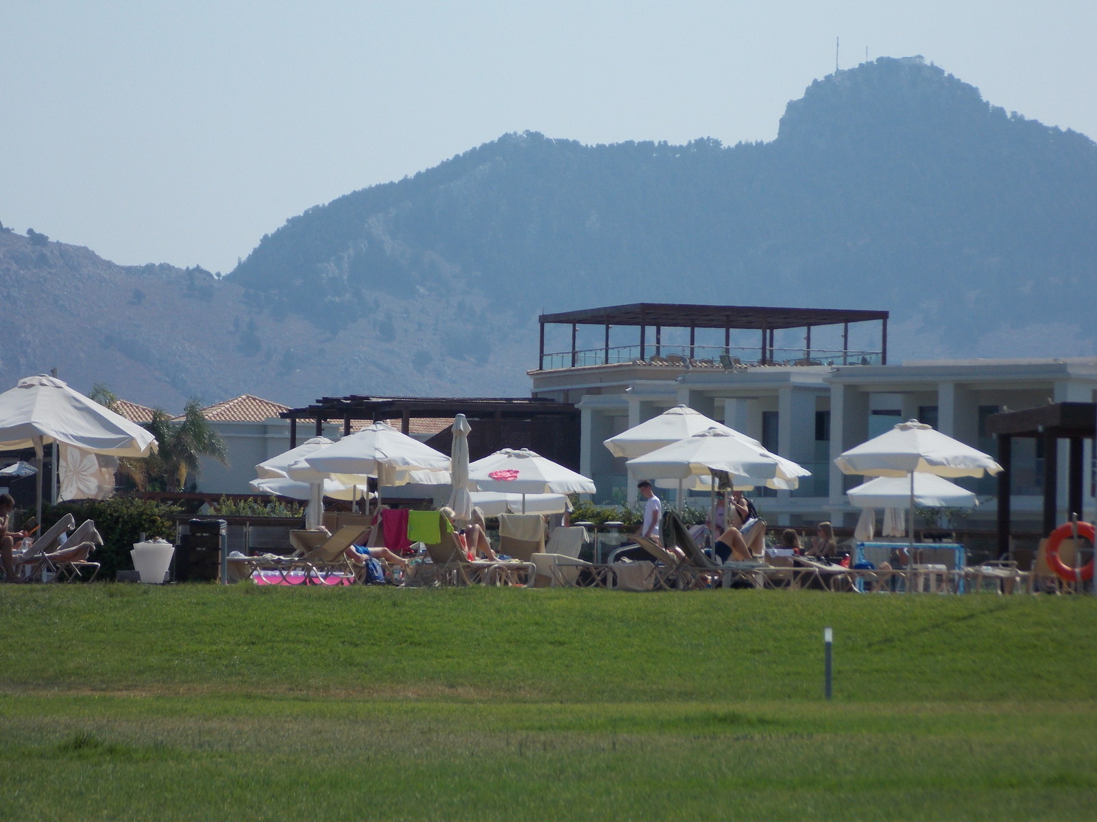 Травосмеси газонные Канада Грин в тяжелейших условиях на море в соли и на жаре!