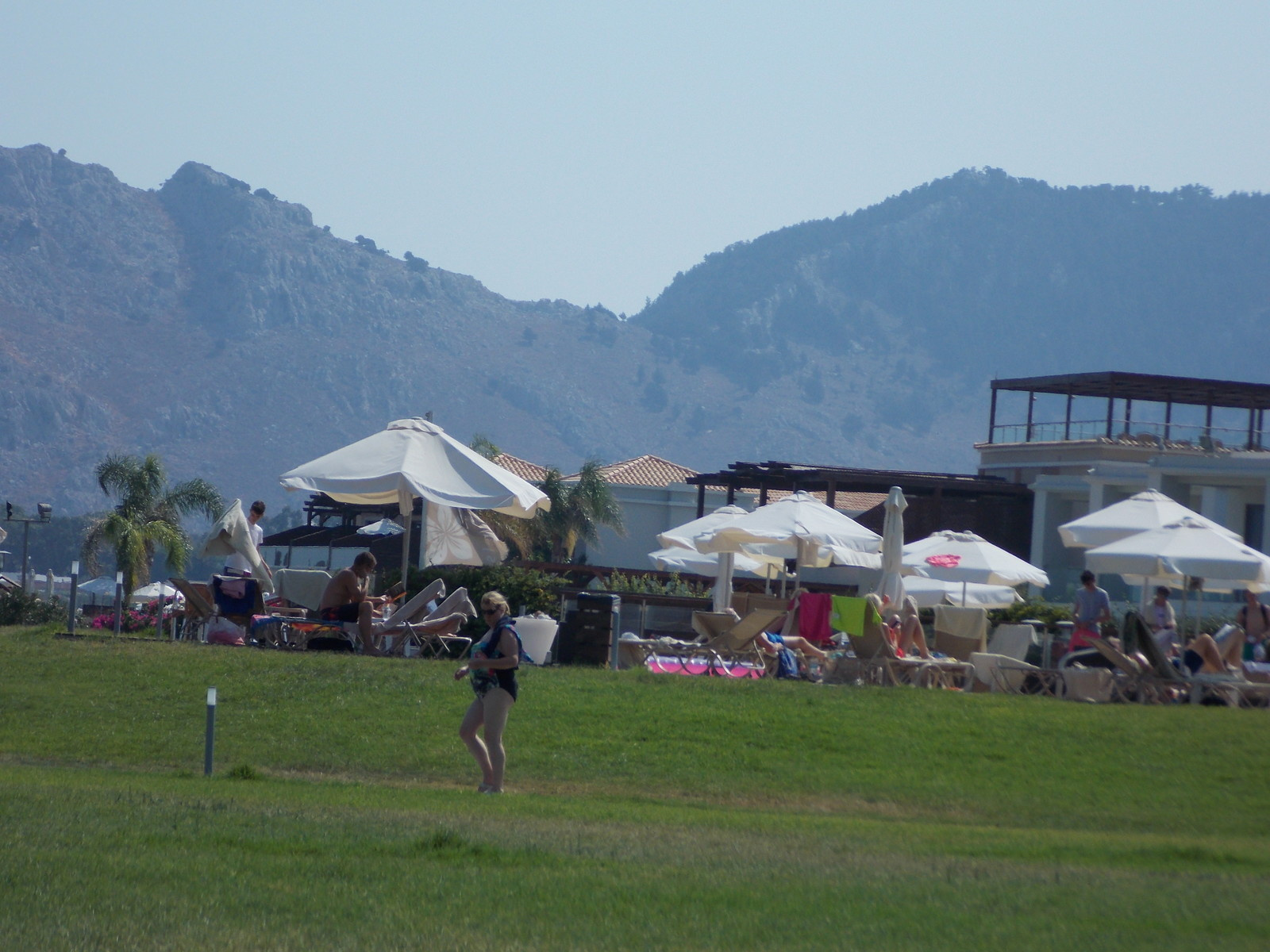 Травосмеси газонные Канада Грин в тяжелейших условиях на море в соли и на жаре!