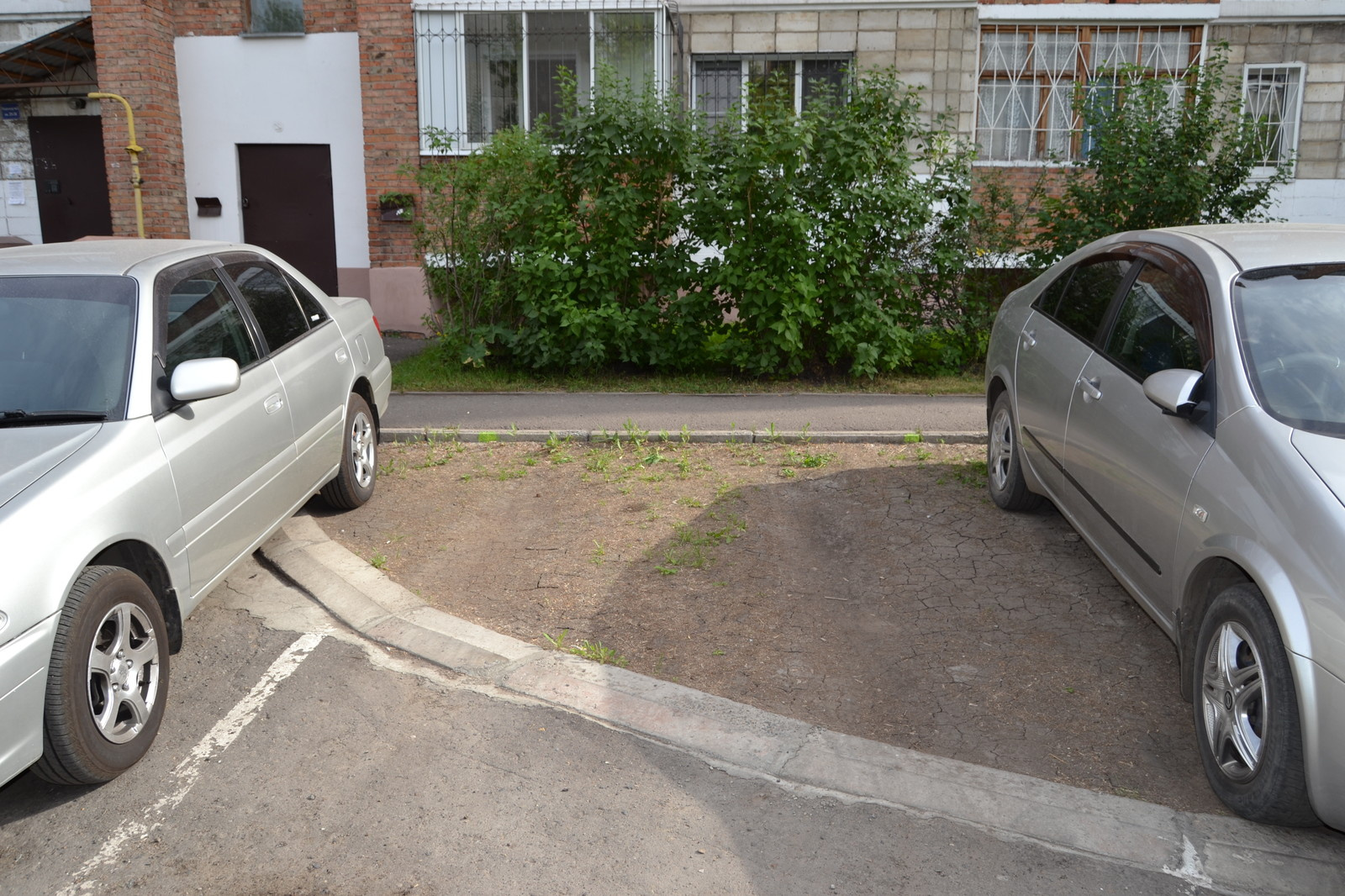 Травосмеси газонные Канада Грин в тяжелейших условиях на море в соли и на жаре!