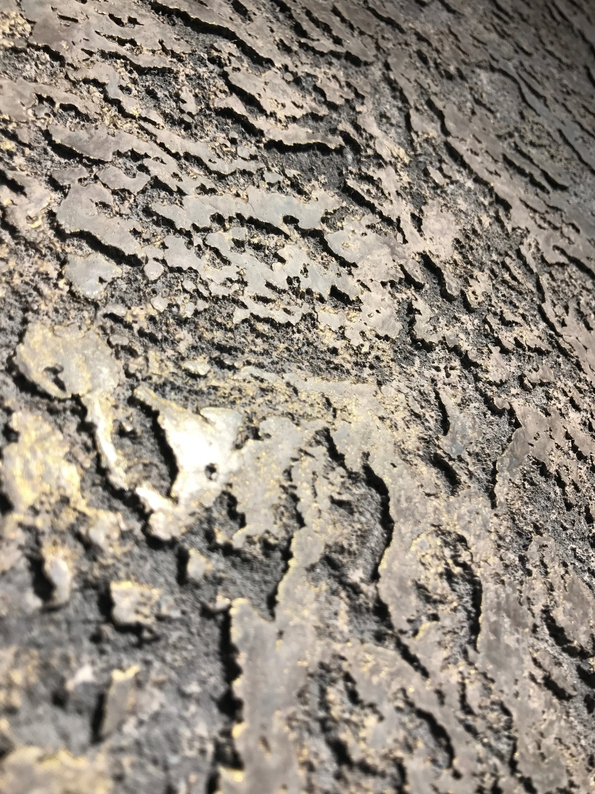 Текущая работа Центра Декоративных Штукатурок г. Красноярск / Current work of th