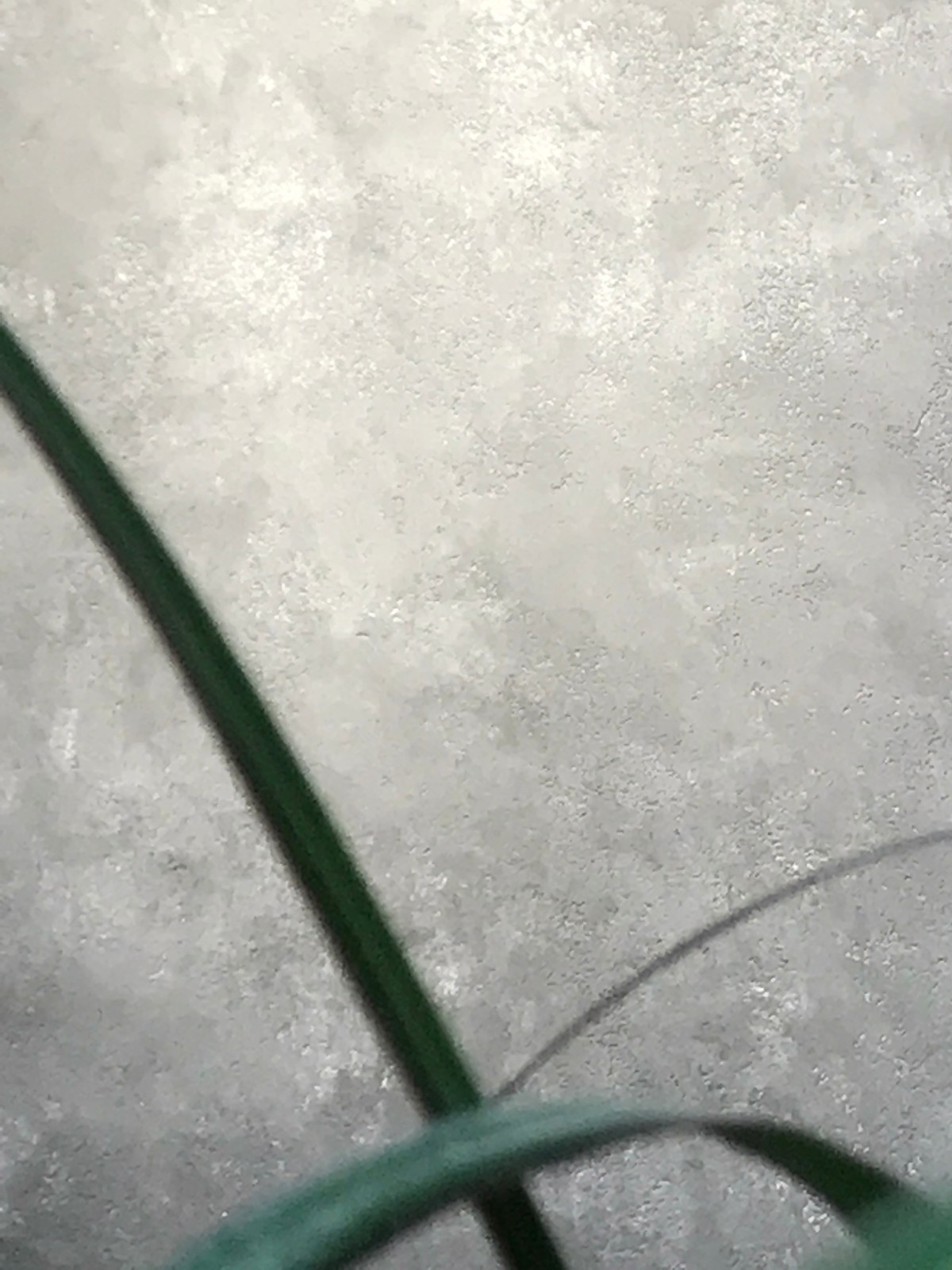 Текущая работа Центра Декоративных Штукатурок г. Красноярск / Current work of th