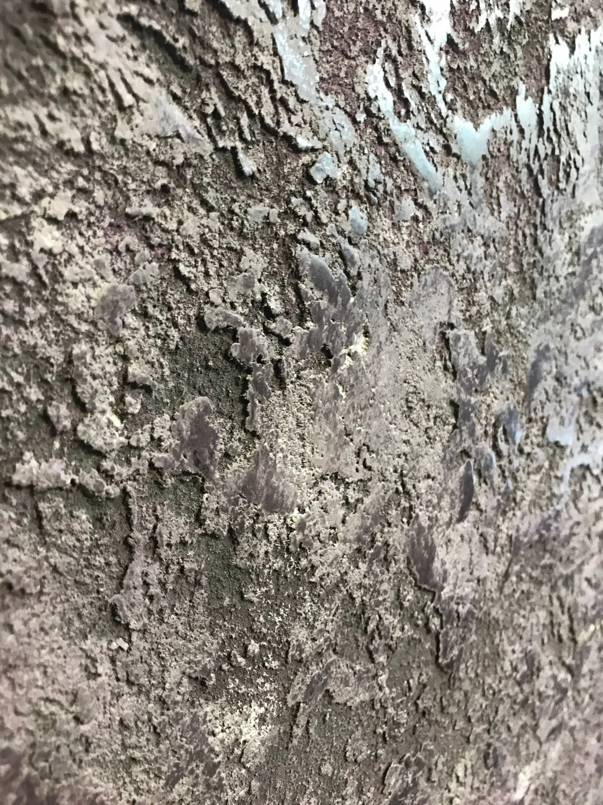 Текущая работа Центра Декоративных Штукатурок г. Красноярск / Current work of th