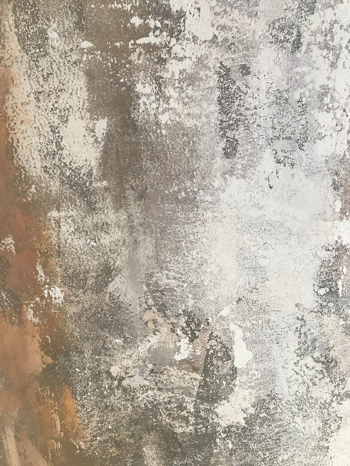 Текущая работа Центра Декоративных Штукатурок г. Красноярск / Current work of th