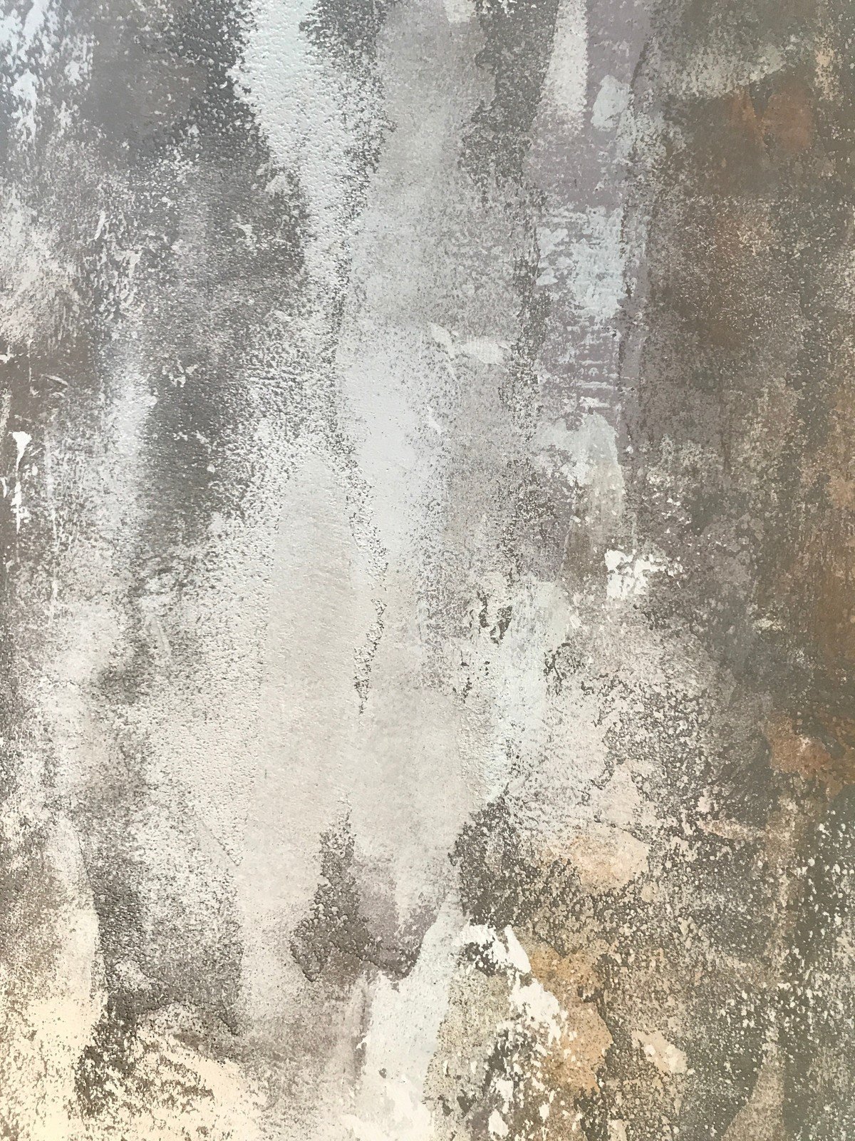 Обложка проекта: Текущая работа Центра Декоративных Штукатурок г. Красноярск / Current work of th